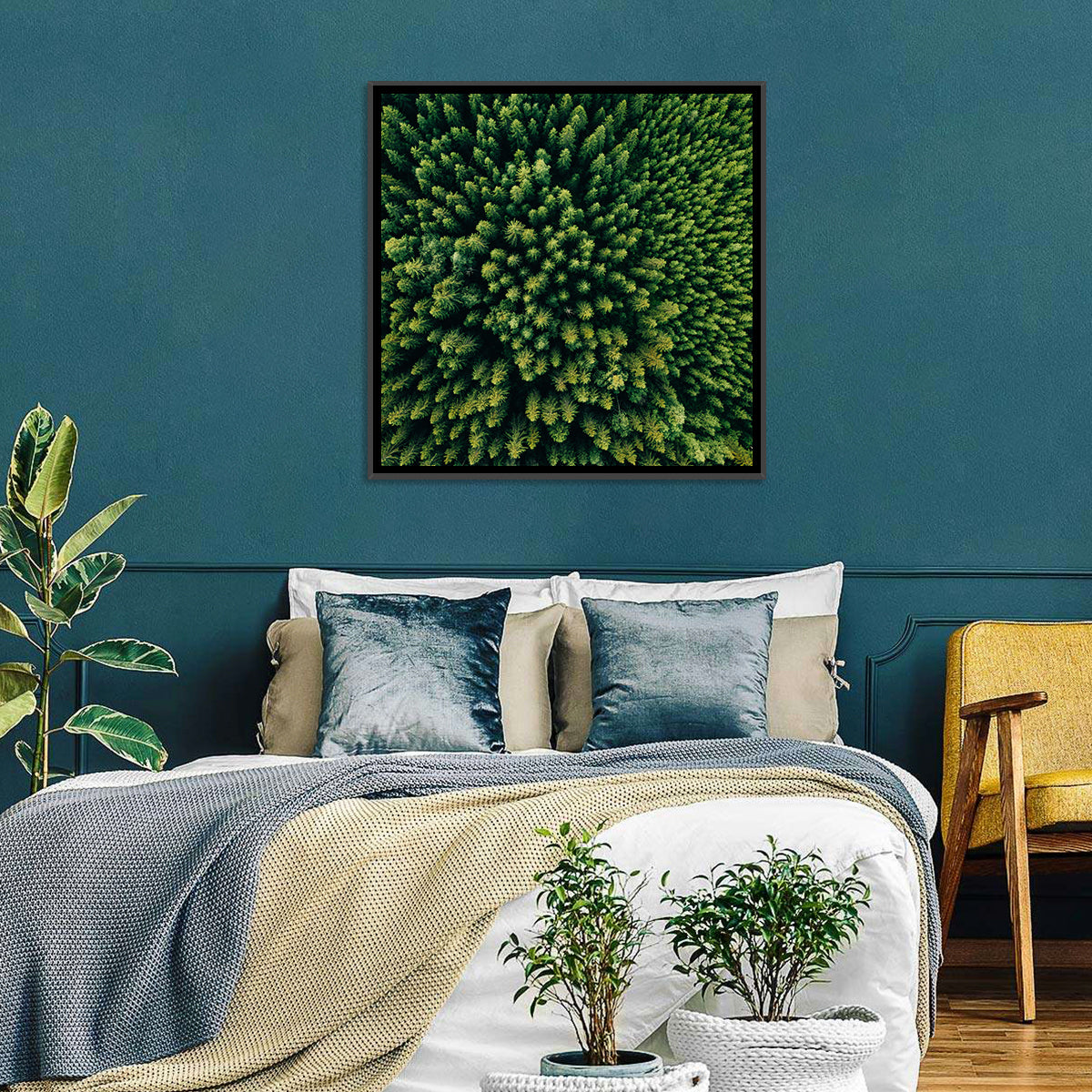 Aerial Conifer Canopy Wall Art in a room, square