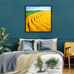 Summer Wheat Field with Curved Paths Wall Art