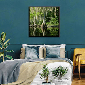 Bald Cypress in Swamp Wall Art