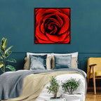 Velvety Red Rose Close-up Wall Art