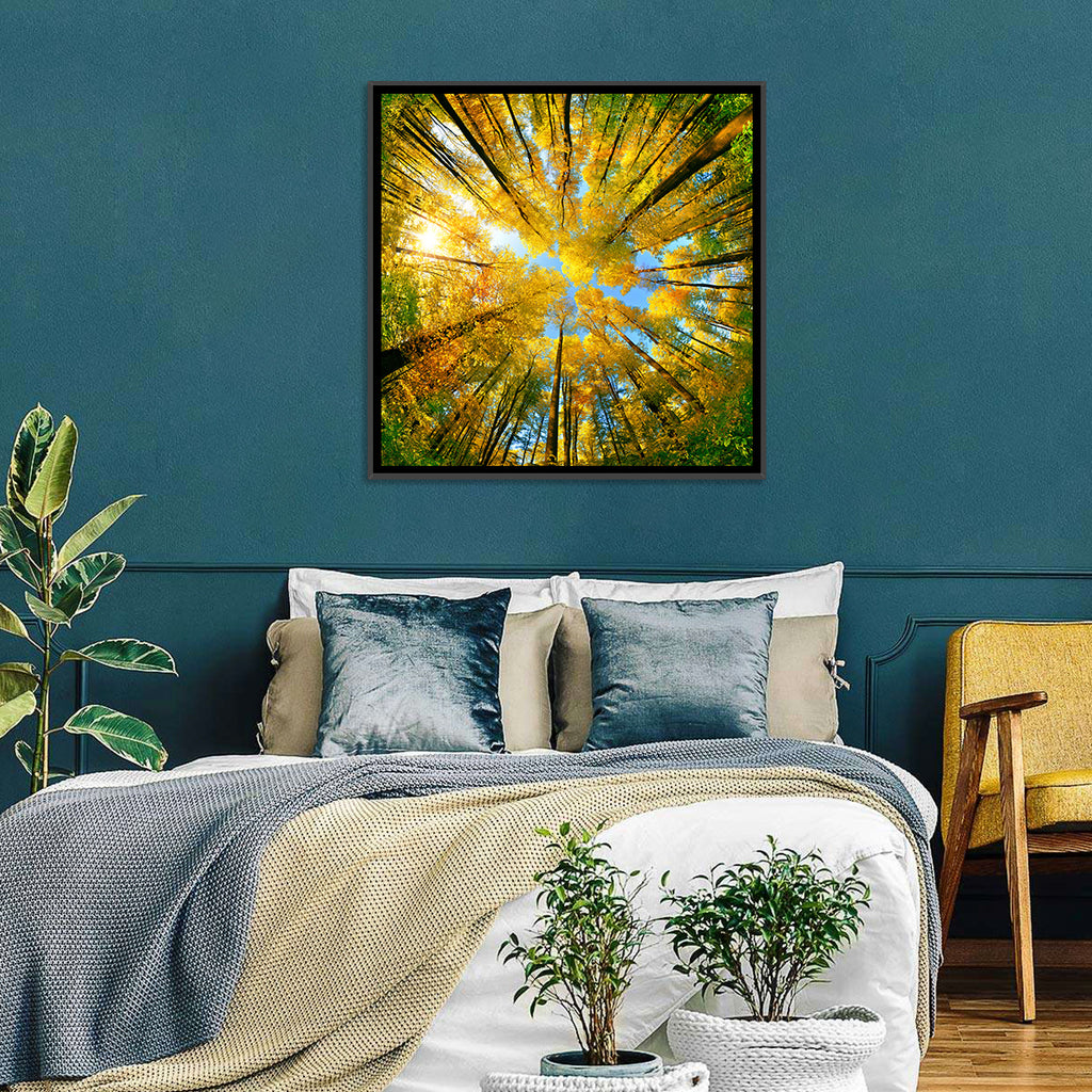 Golden Autumn Canopy Wall Art