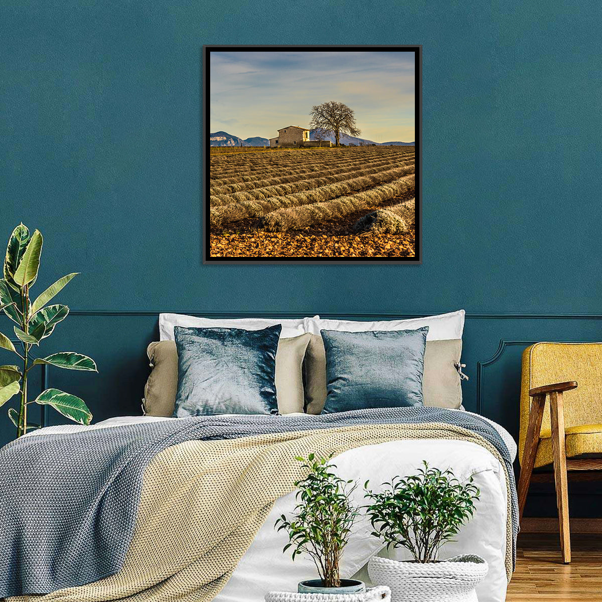 Rustic Provence Lavender Rows at Golden Hour Wall Art in a room, square