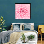 Pink Chrysanthemum Close-up Wall Art