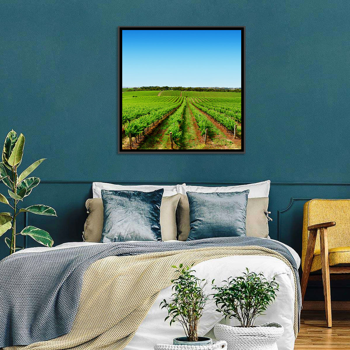 Sunlit Vineyard Rows Wall Art in a room, square