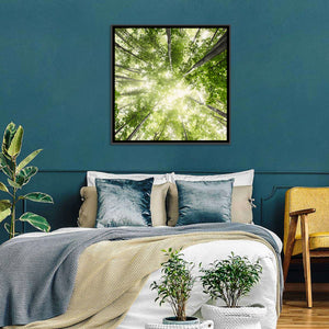 Misty Spring Forest Wall Art