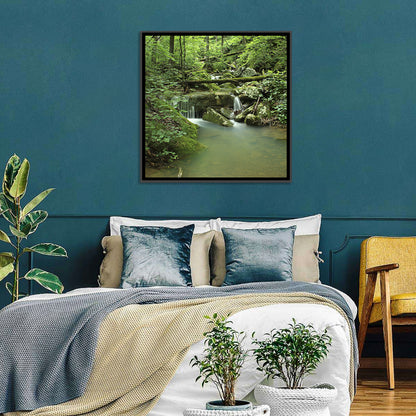 Arkansas Forest Stream Wall Art