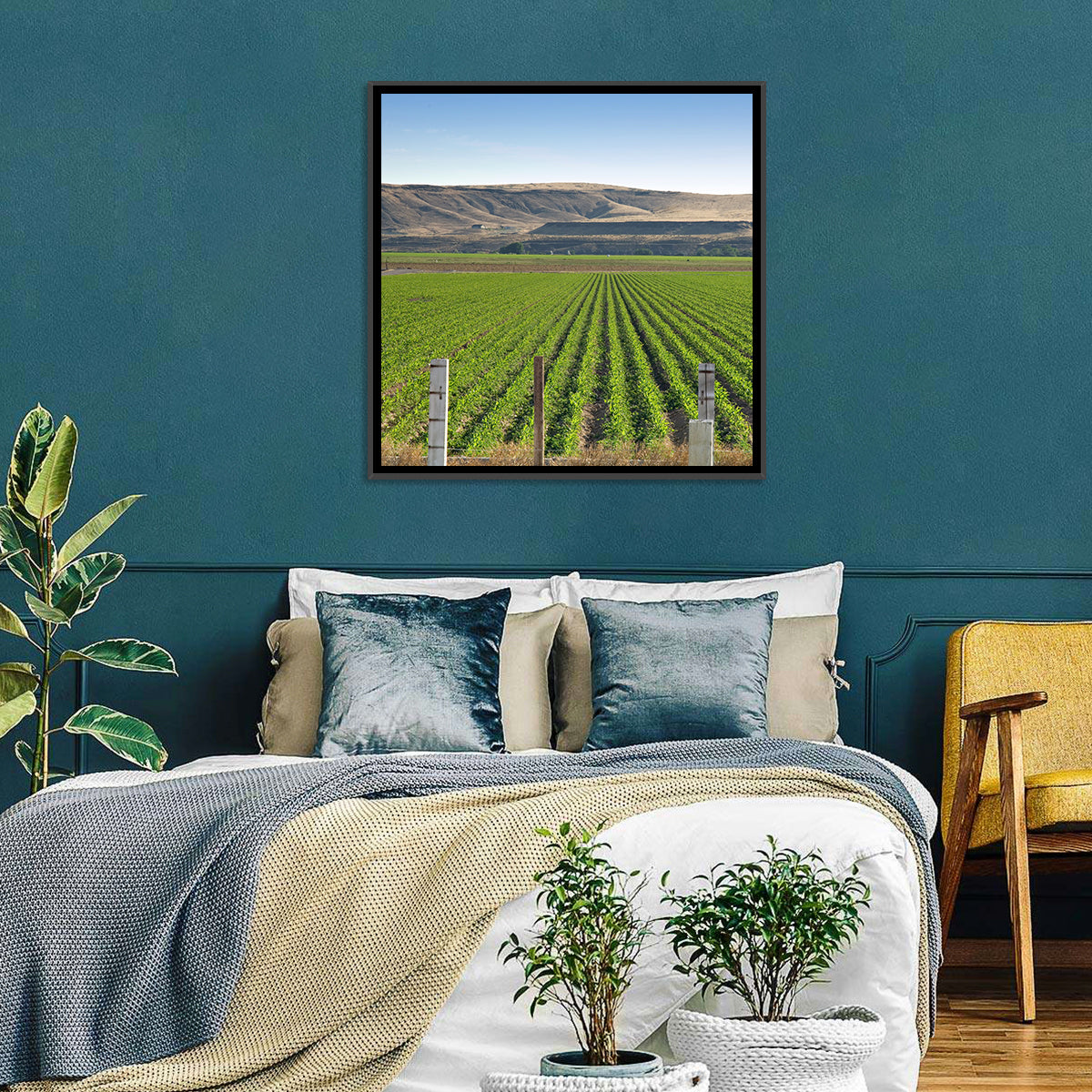 Idaho Corn Field Wall Art in a room, square