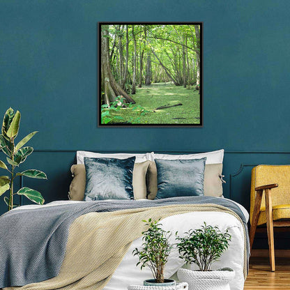 Louisiana Cypress Bayou Wall Art