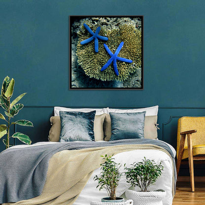 Blue Starfish Wall Art