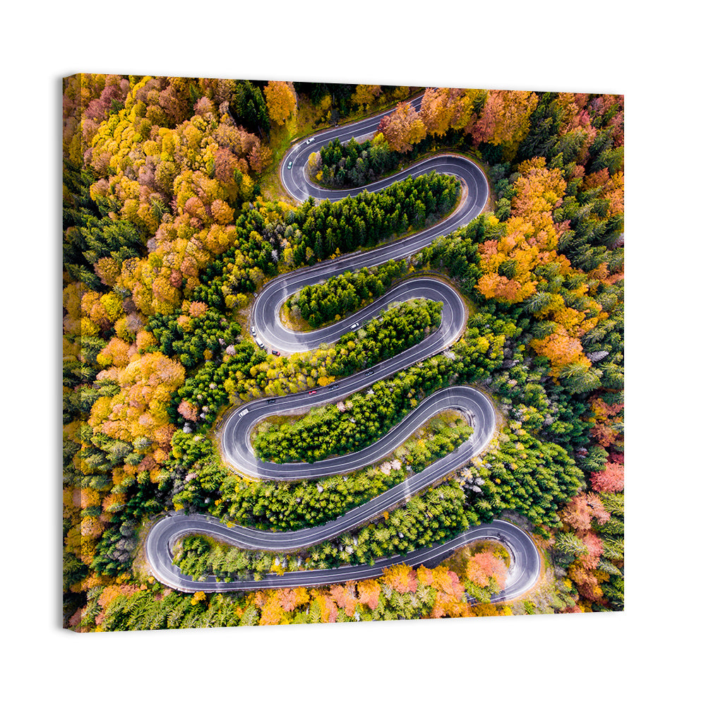 Autumn Winding Forest Road Wall Art