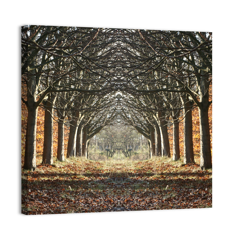 Danish Autumn Tree-lined Path Wall Art