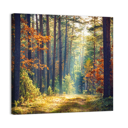 Autumn Forest Wall Art