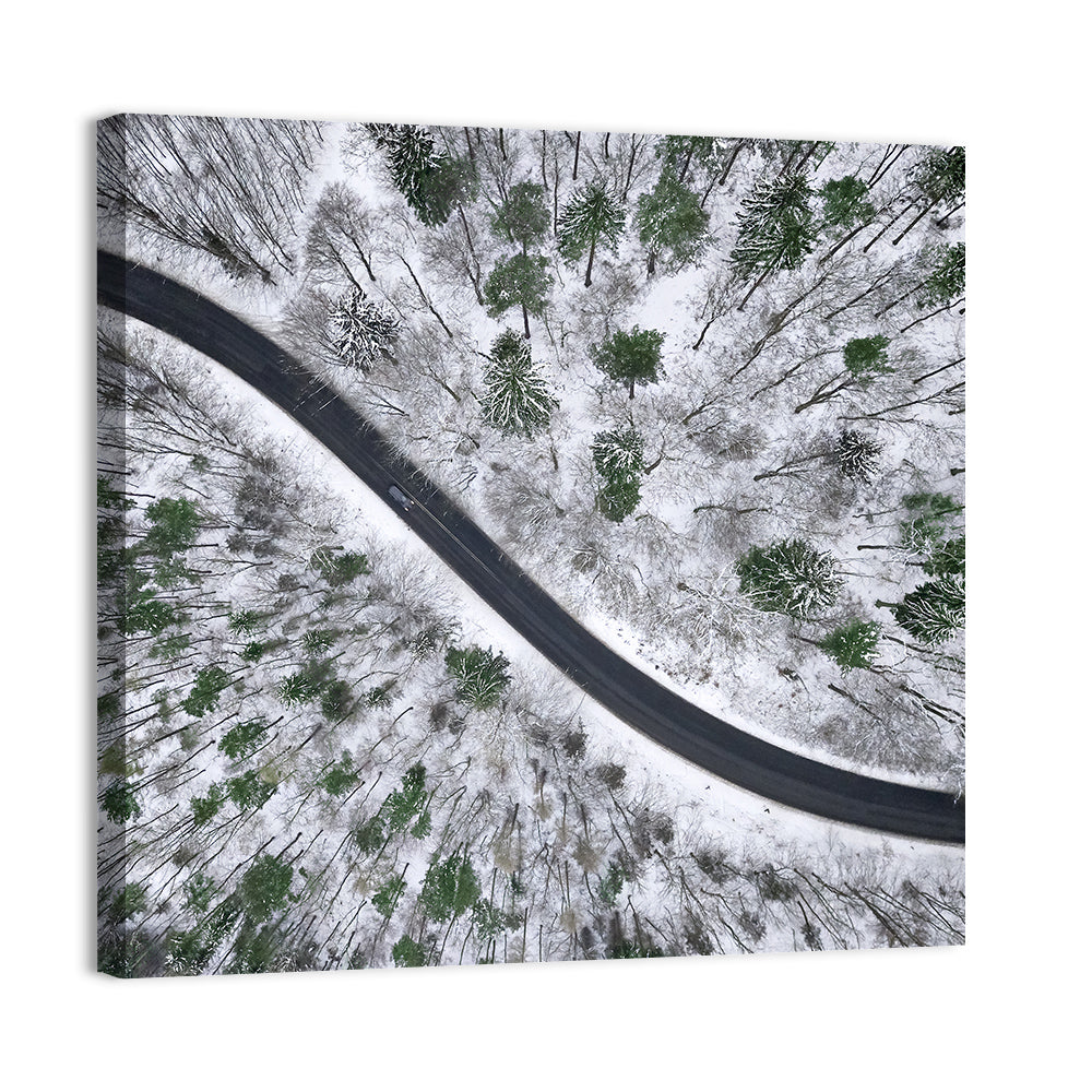 Snowy Forest Road Wall Art, canvas print, square
