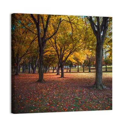 Autumn Park Pennsylvania Wall Art