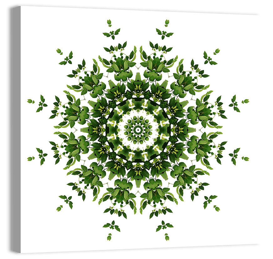 Botanical Green Leaf Mandala Wall Art