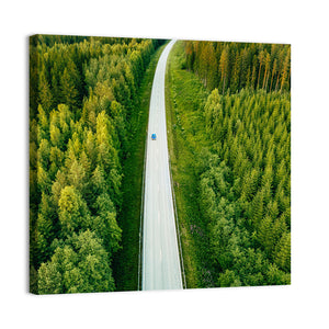 Road Through Forest Wall Art