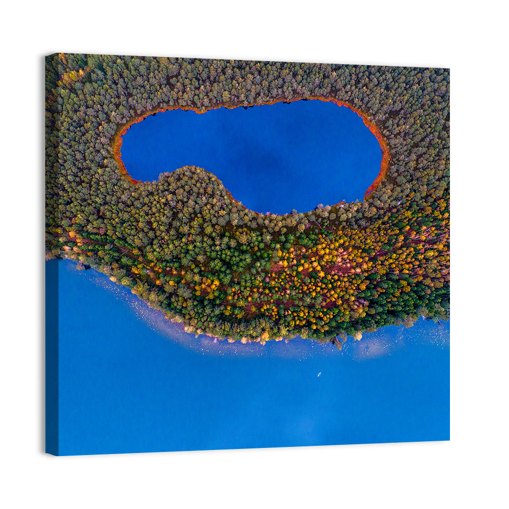 Autumn Forest Lake Wall Art
