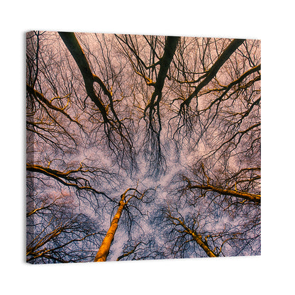 Misty Forest Abstract Wall Art