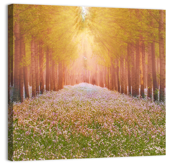 Golden Morning Forest Path Wall Art as a canvas print