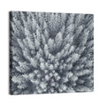 Snow Covered Pine Forest Wall Art
