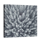 Snow Covered Pine Forest Wall Art