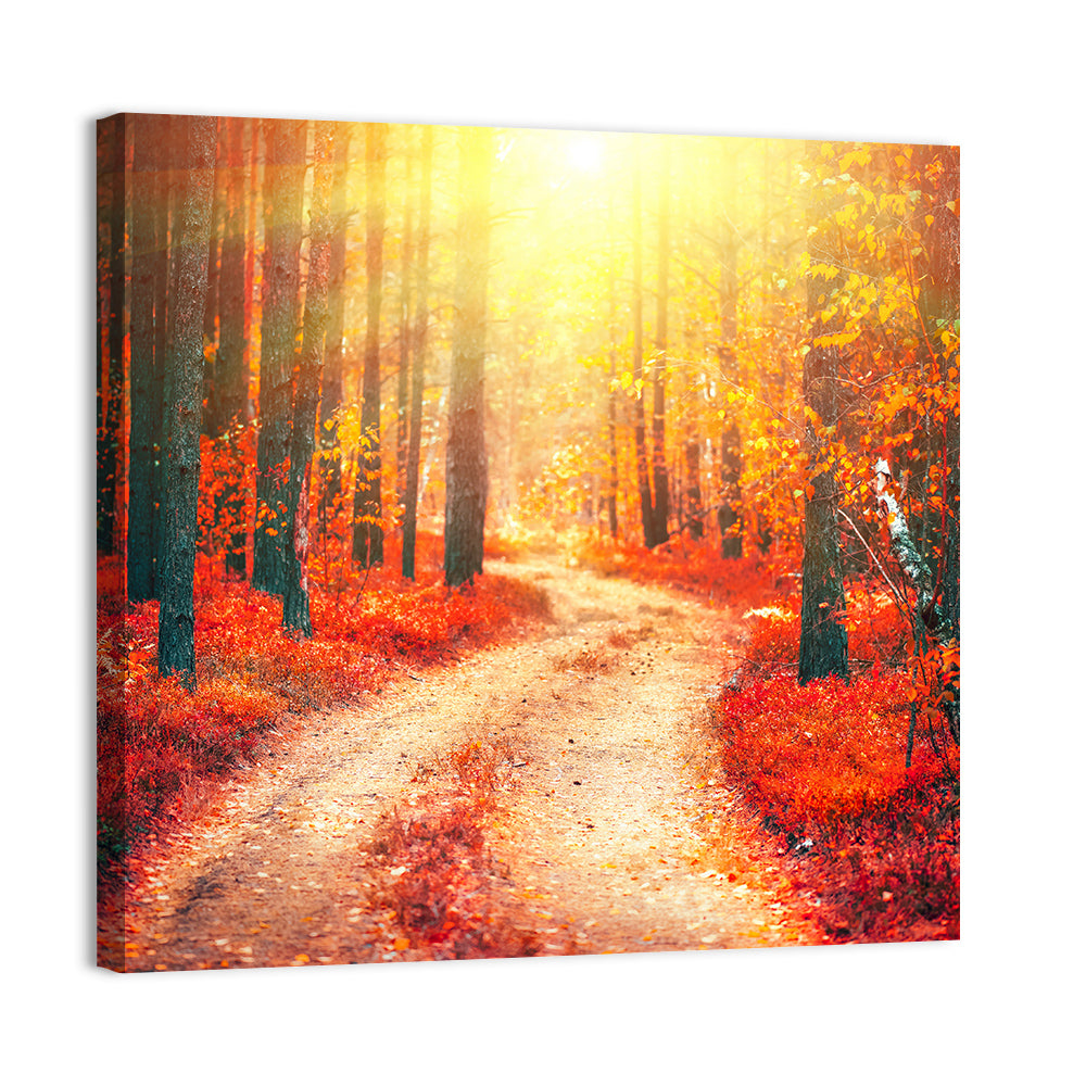 Autumn Forest Pathway Wall Art