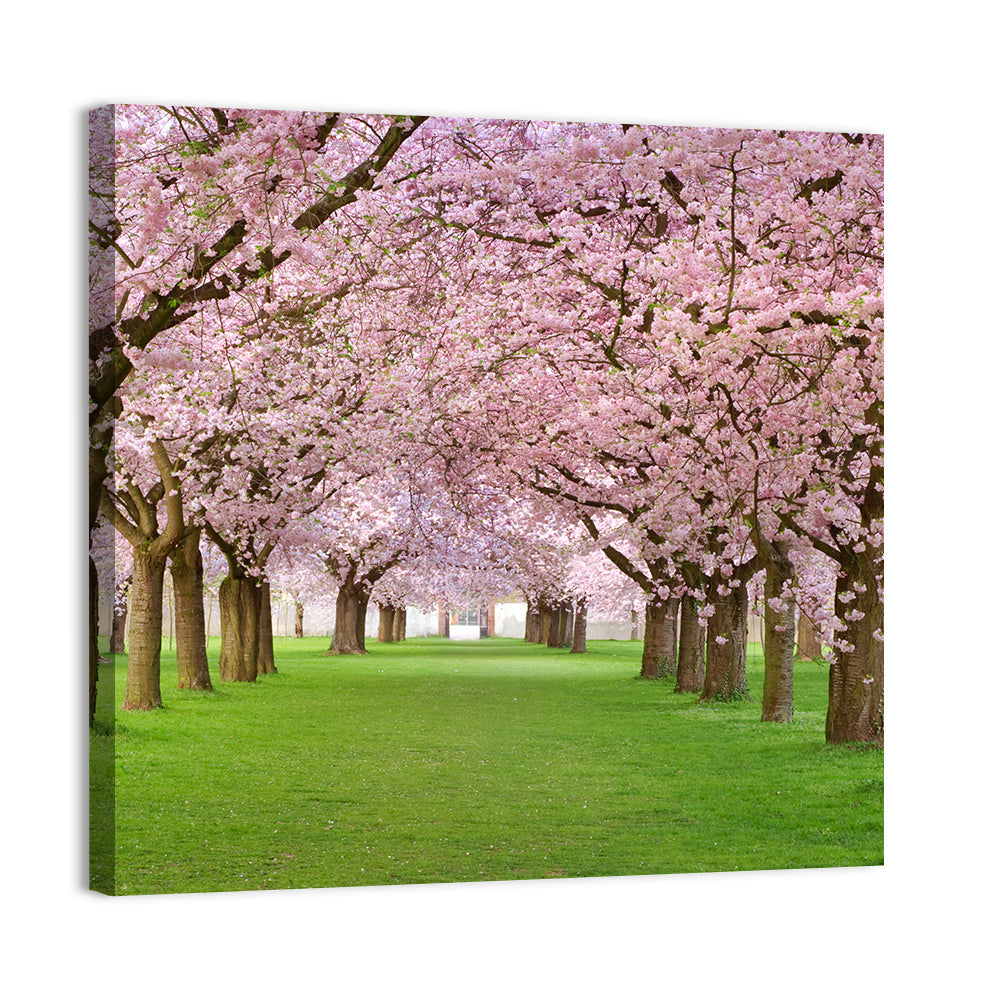 Cherry Blossom Avenue Wall Art, canvas print, square