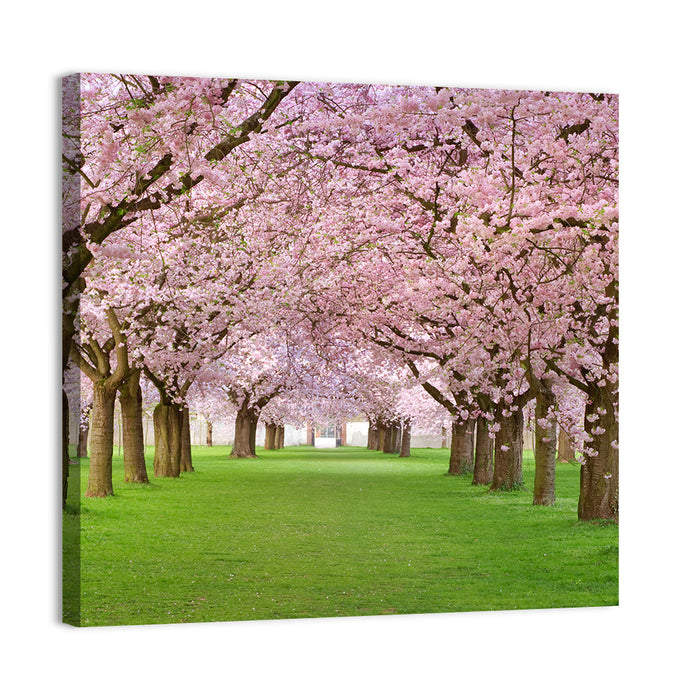Cherry Blossom Avenue Wall Art as a canvas print
