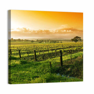 Barossa Valley Vineyard Wall Art