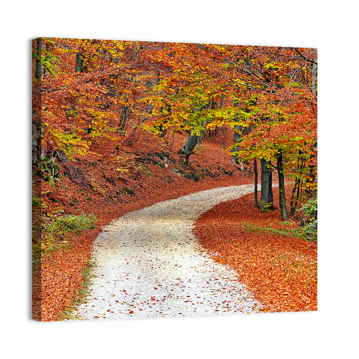 Misty Gravel Path Through Autumn Trees Wall Art as a canvas print