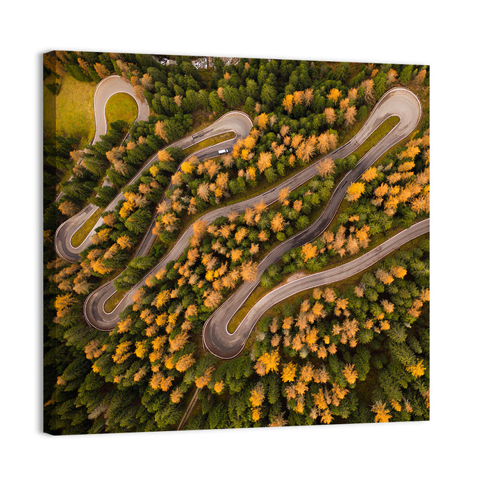 Aerial Curvy Forest Road Wall Art as a canvas print