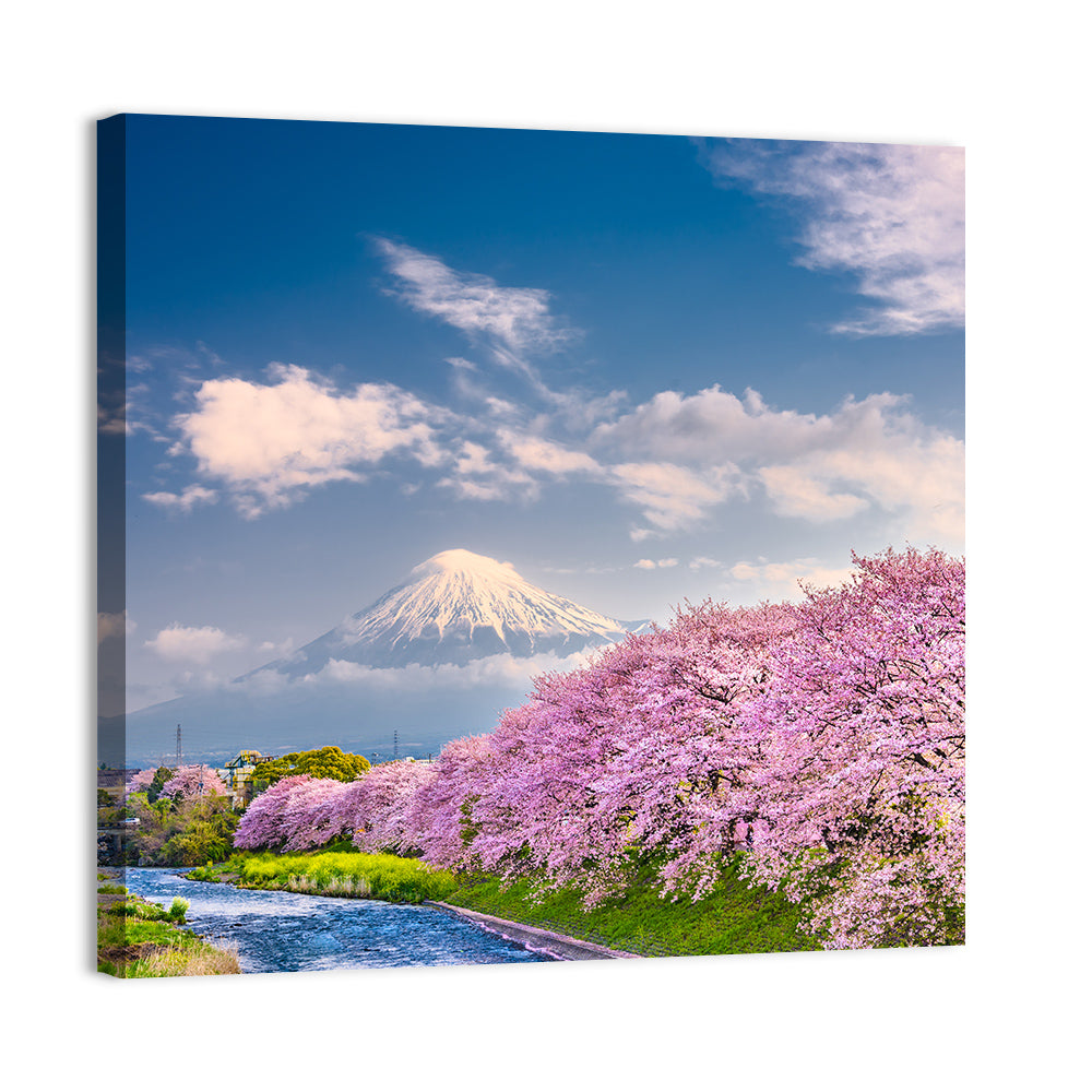 Mount Fuji Cherry Blossoms Wall Art