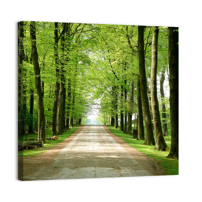 Sunlit Tree-lined Path Wall Art as a canvas print