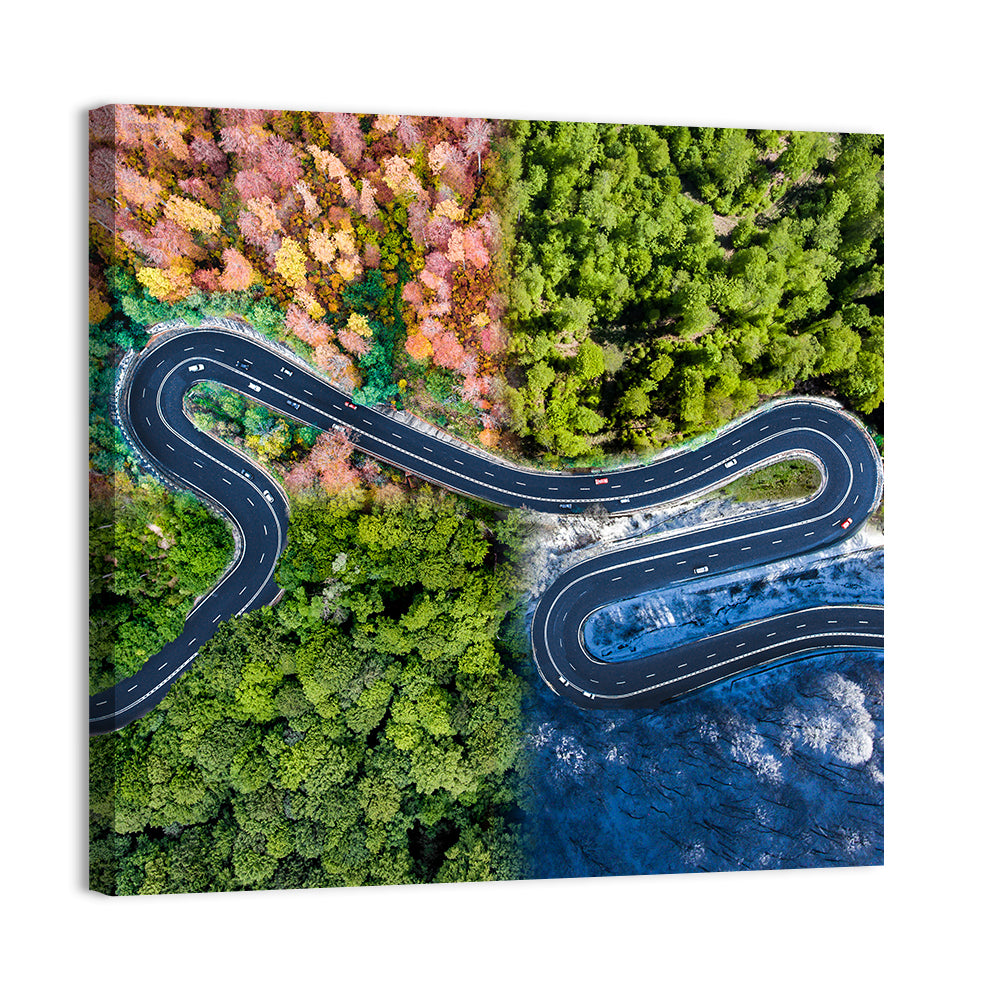 Four Seasons Curved Road Wall Art