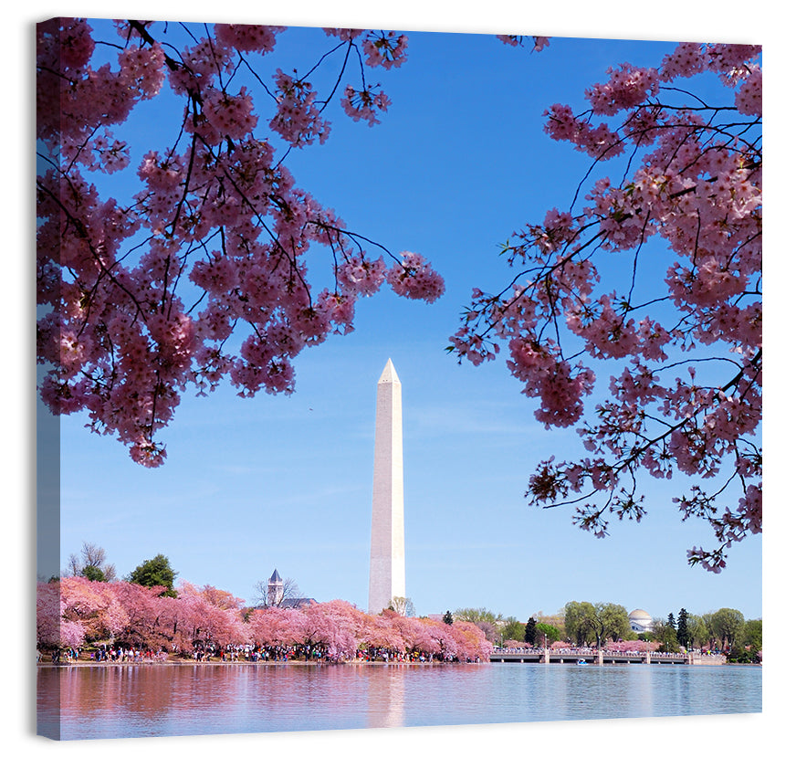Washington Monument with Cherry Blossoms Wall Art, canvas print, square