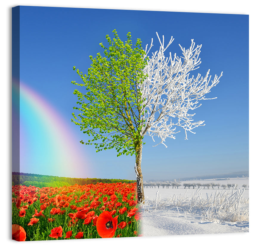 Seasonal Split Landscape Wall Art, canvas print, square