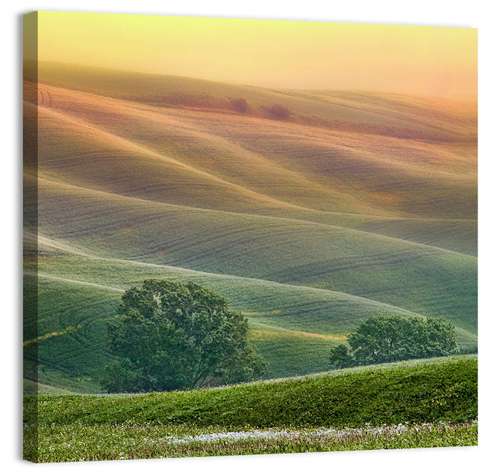 Tuscan Rolling Hills Wall Art as a canvas print