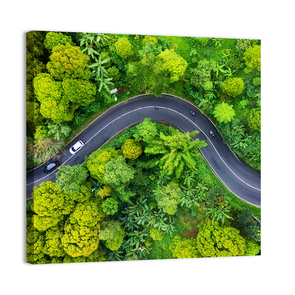 Summer Forest Road Aerial Wall Art