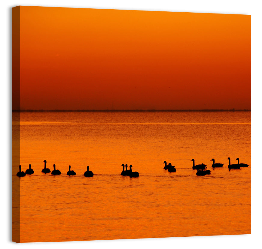 Geese Silhouettes at Orange Sunset Wall Art, canvas print, square