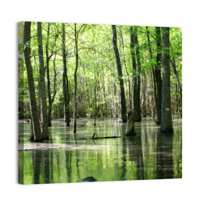 Green Swamp Forest Wall Art