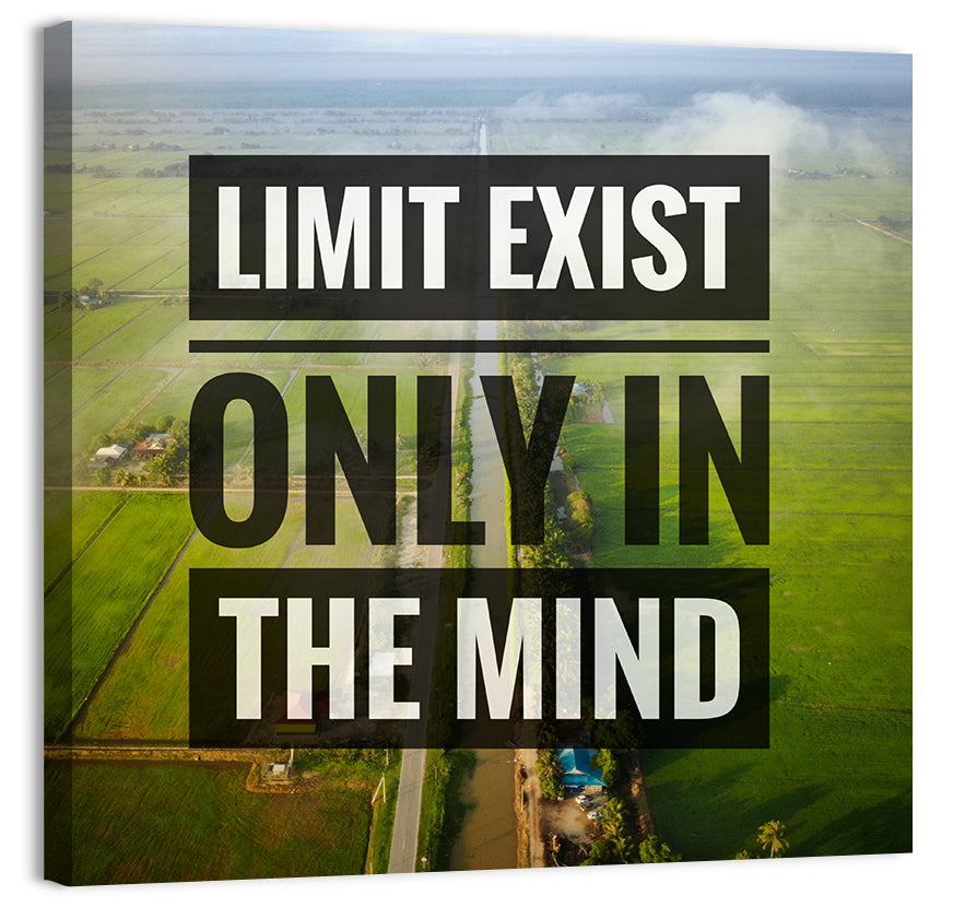 Limits Exist Only in the Mind Wall Art