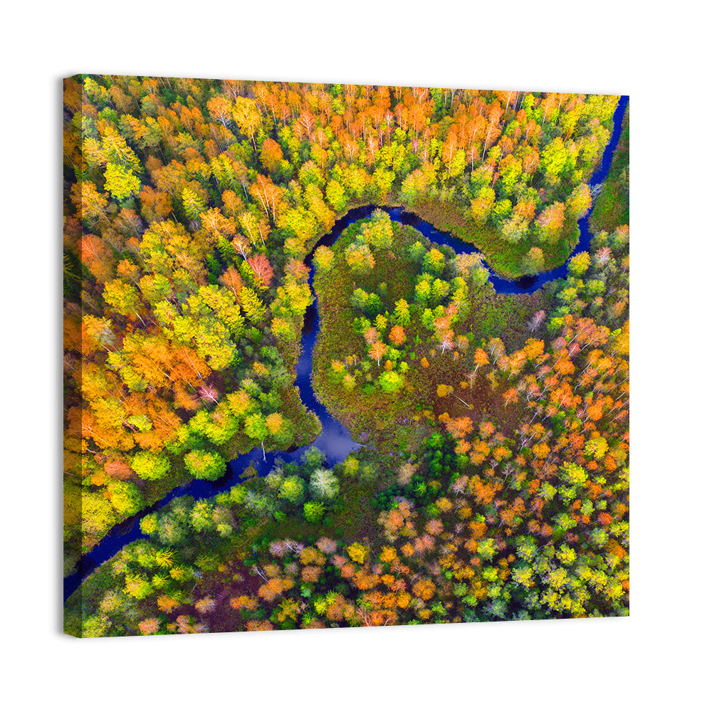 Winding Autumn River Wall Art