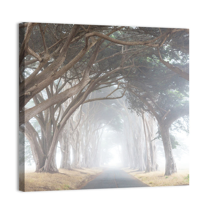 Misty Cypress Tunnel Wall Art as a canvas print