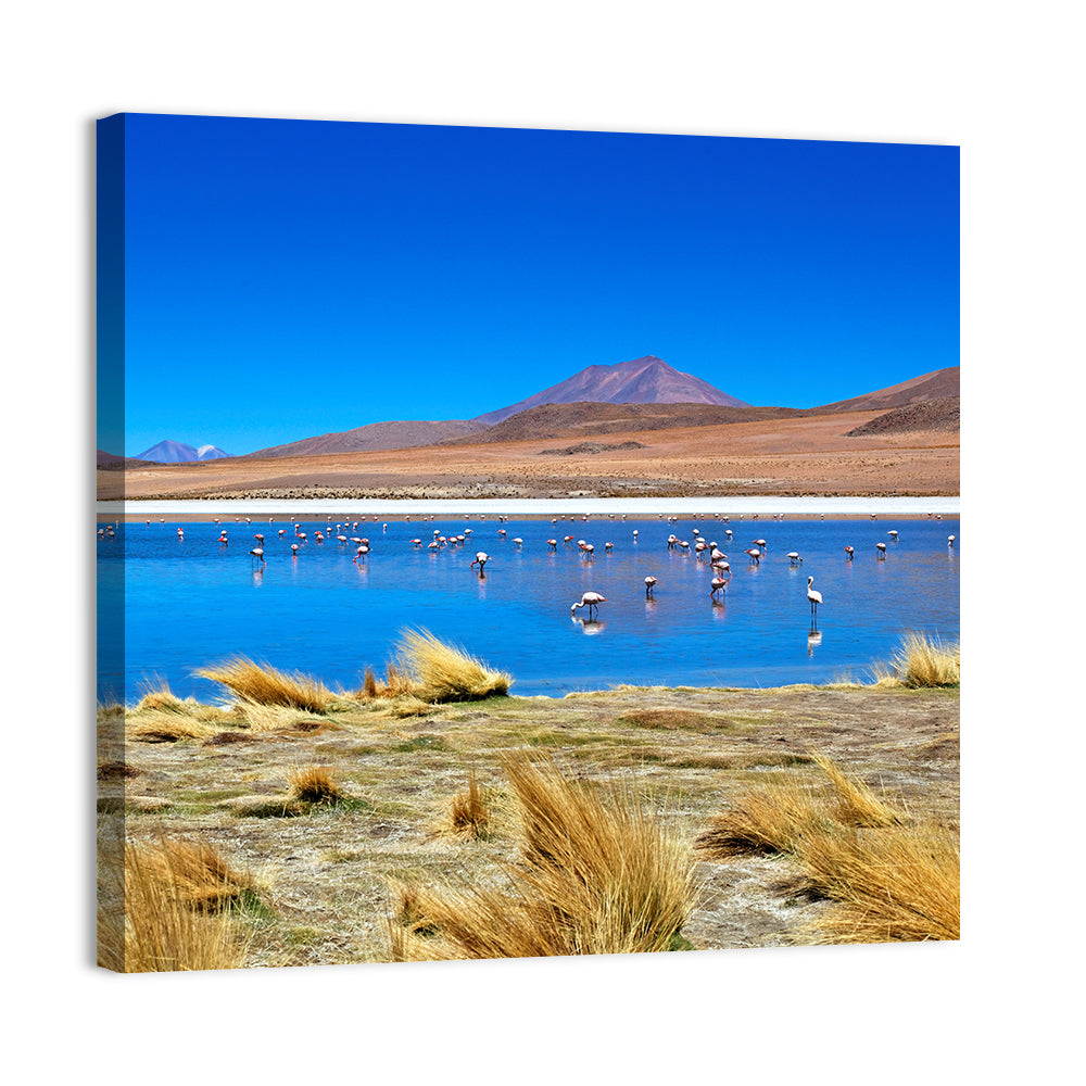 Laguna Flamingo Lake Wall Art, canvas print, square