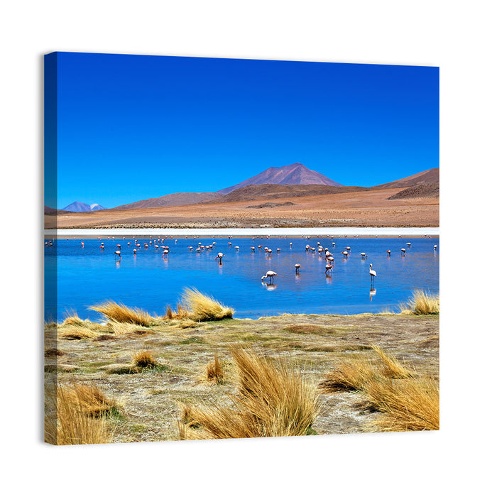 Laguna Flamingo Lake Wall Art as a canvas print