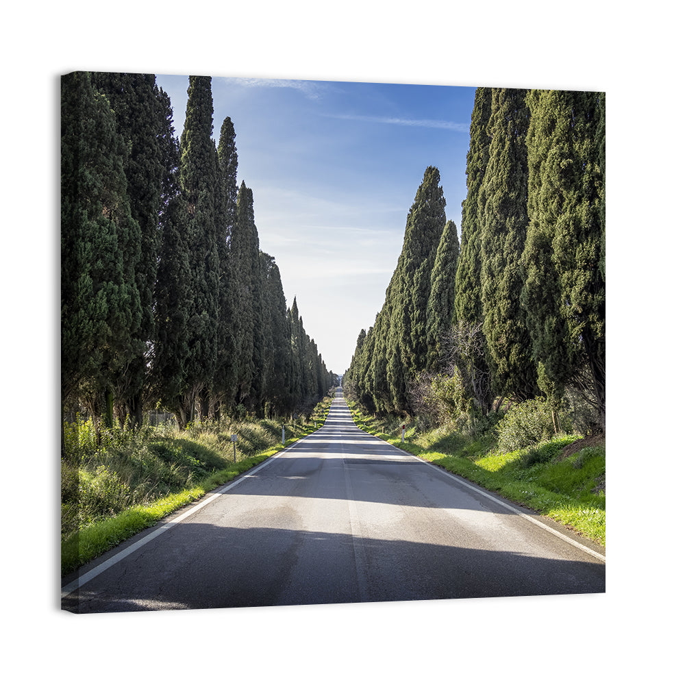 Avenue of Cypress Trees Wall Art