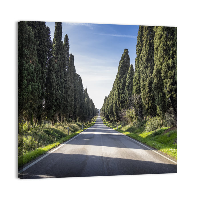 Avenue of Cypress Trees Wall Art as a canvas print
