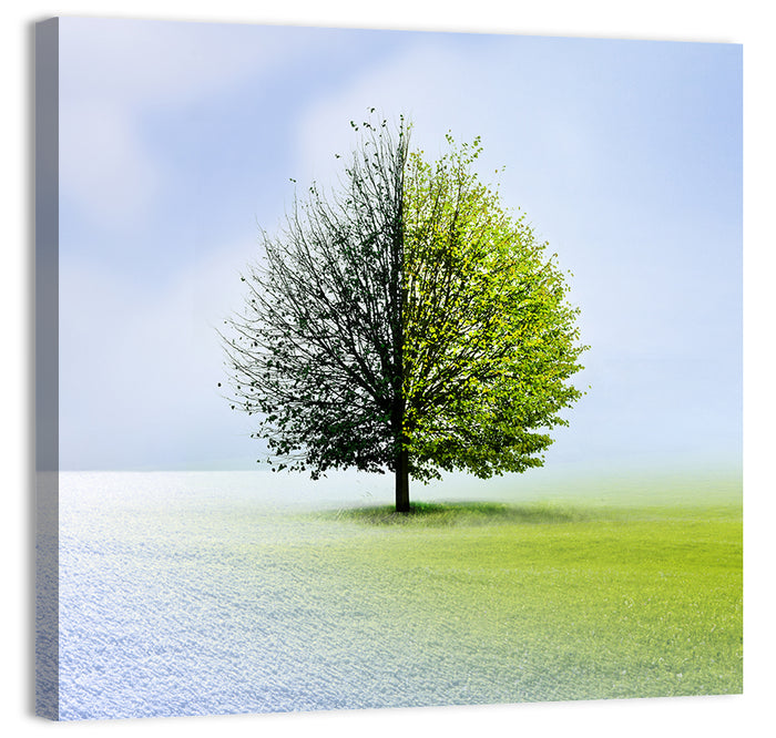Winter to Spring Tree Wall Art as a canvas print