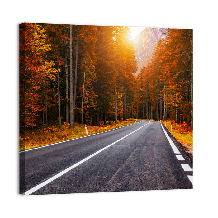 Golden Hour Forest Road Wall Art as a canvas print