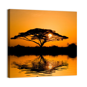 Acacia Tree at Sunrise Wall Art